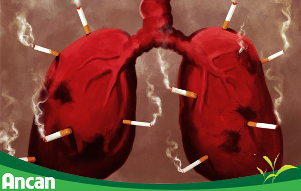 8 biện pháp phòng tránh bệnh ung thư phổi 2