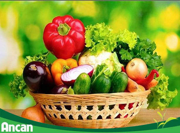 8 biện pháp phòng tránh bệnh ung thư phổi 4