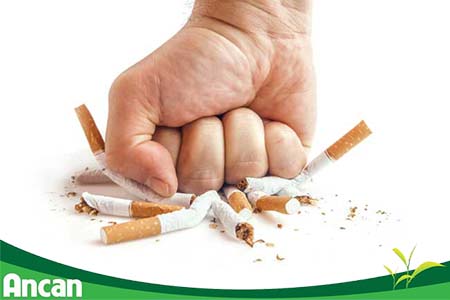 Bệnh nhân ung thư phổi nên và không nên ăn gì? 2