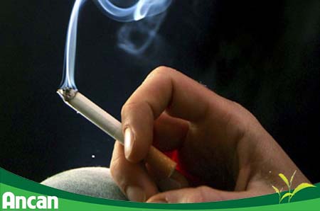 kien-thuc-chung-ve-benh-ung-thu-thuc-quan-2