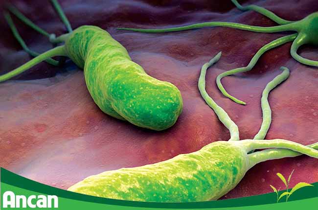 Các nguyên nhân gây ra bệnh ung thư tuyến tụy 2