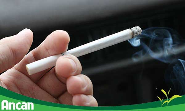 Các nguyên nhân gây ra bệnh ung thư tuyến tụy 1