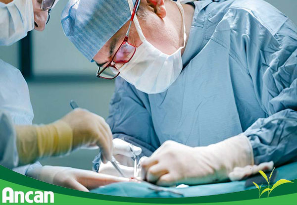 Những tác dụng phụ của quá trình điều trị ung thư tuyến giáp 2