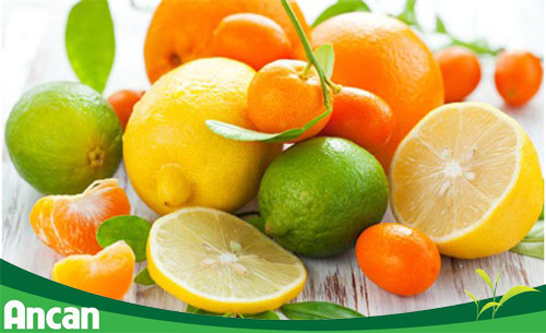 Bệnh nhân ung thư vòm họng nên và không nên ăn gì? 4