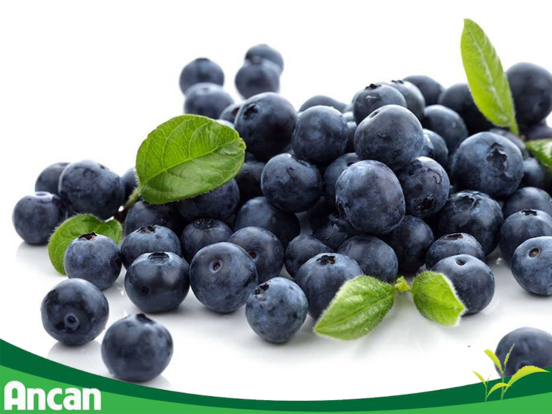 Các biện pháp phòng tránh ung thư vòm họng 1