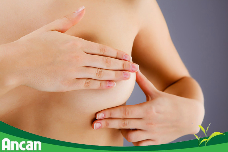 10 biện pháp phòng tránh mắc bệnh ung thư vú 3