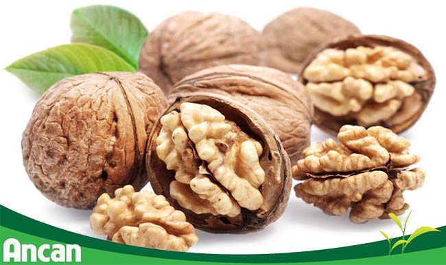 8 loại thực phẩm giúp bạn tránh xa ung thư vú 1