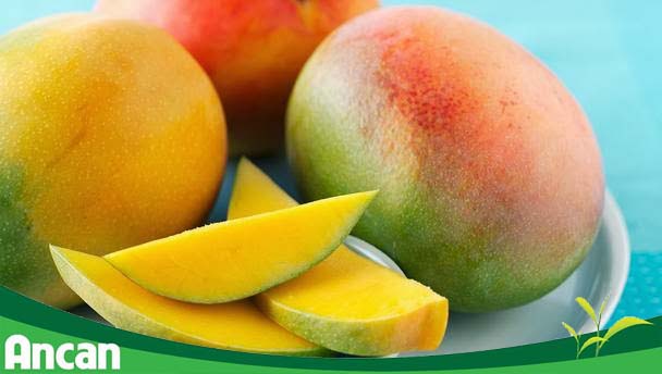 8 loại thực phẩm giúp bạn tránh xa ung thư vú 2