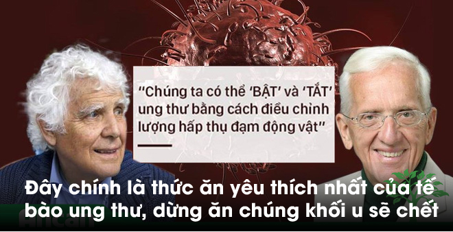 Đây chính là thức ăn yêu thích nhất của tế bào ung thư, dừng ăn chúng khối u sẽ chết