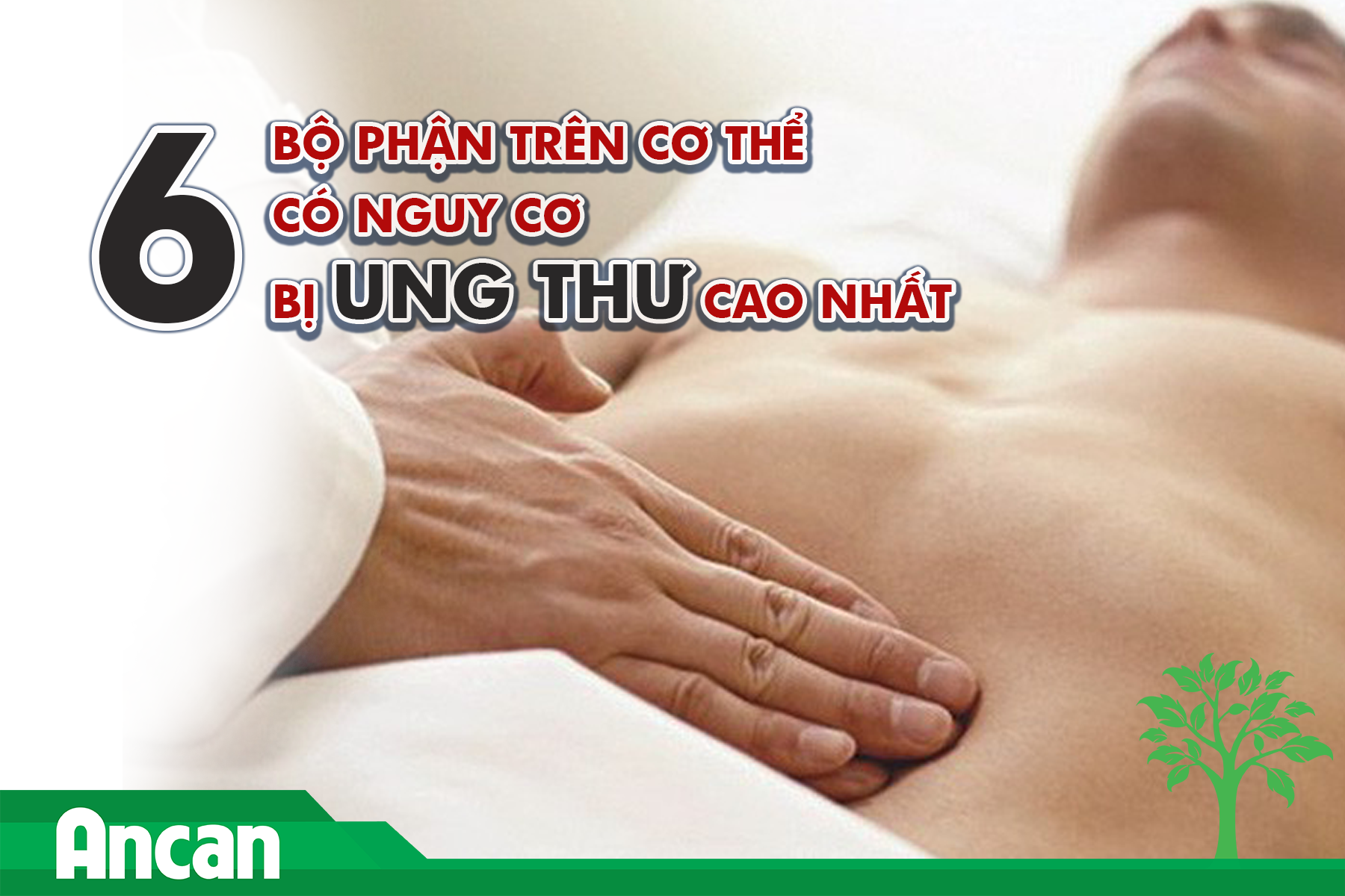 6 bộ phận trên cơ thể có nguy cơ bị ung thư cao nhất