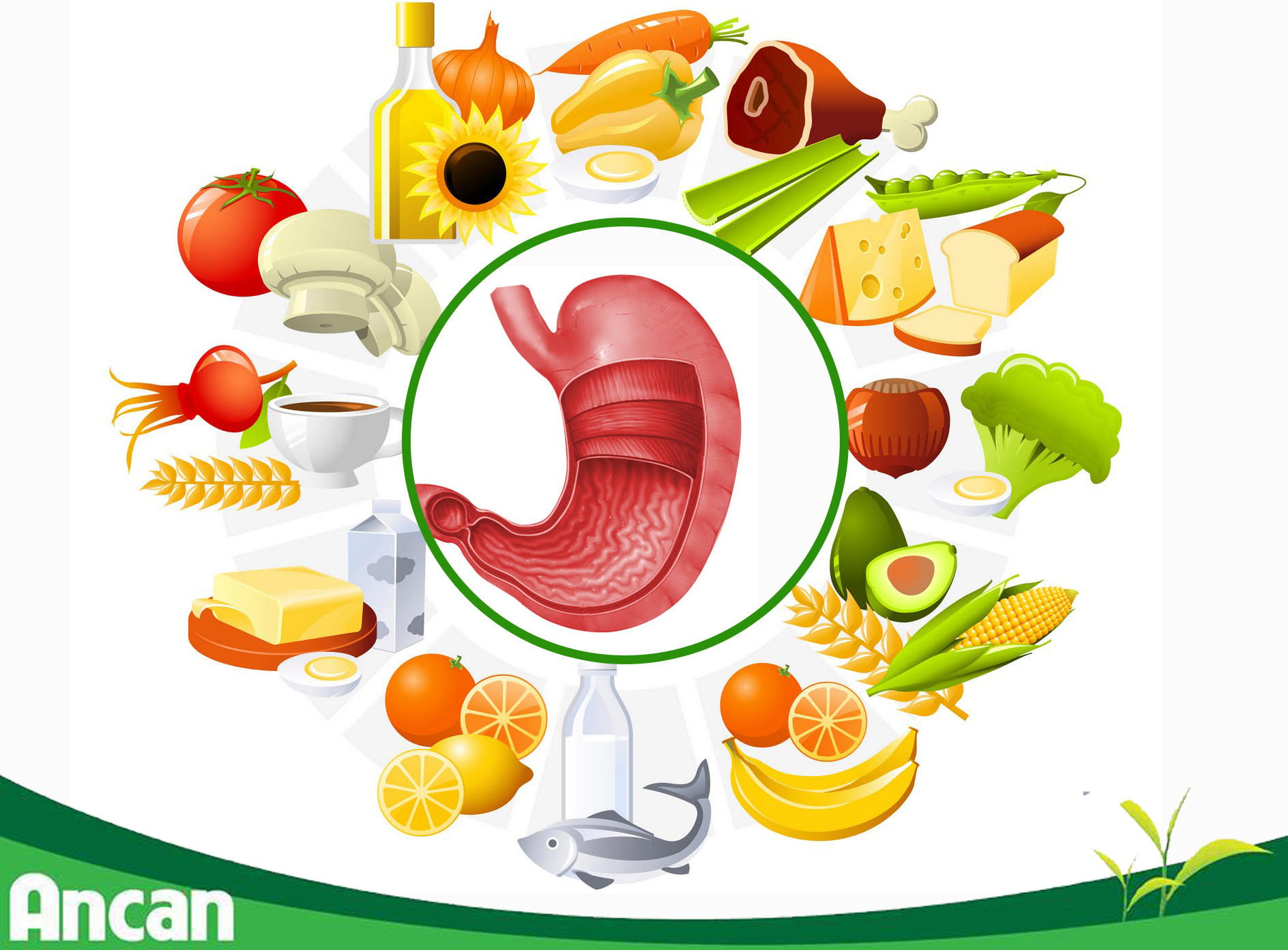 7 loại thực phẩm giúp phòng tránh ung thư dạ dày