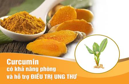 Curcumin – Hoạt chất quý hỗ trợ đẩy lùi nhiều bệnh ung thư nguy hiểm