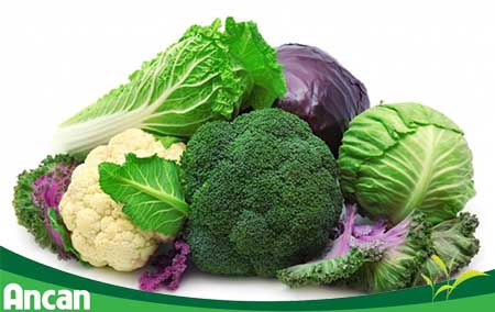 Bệnh basedow nên ăn uống như thế nào?