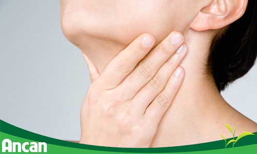 Kiến thức chung về căn bệnh cường giáp