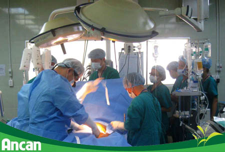 Các phương pháp điều trị ung thư gan giai đoạn 2