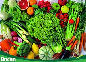 Chế độ ăn uống khoa học tốt cho bệnh nhân ung thư