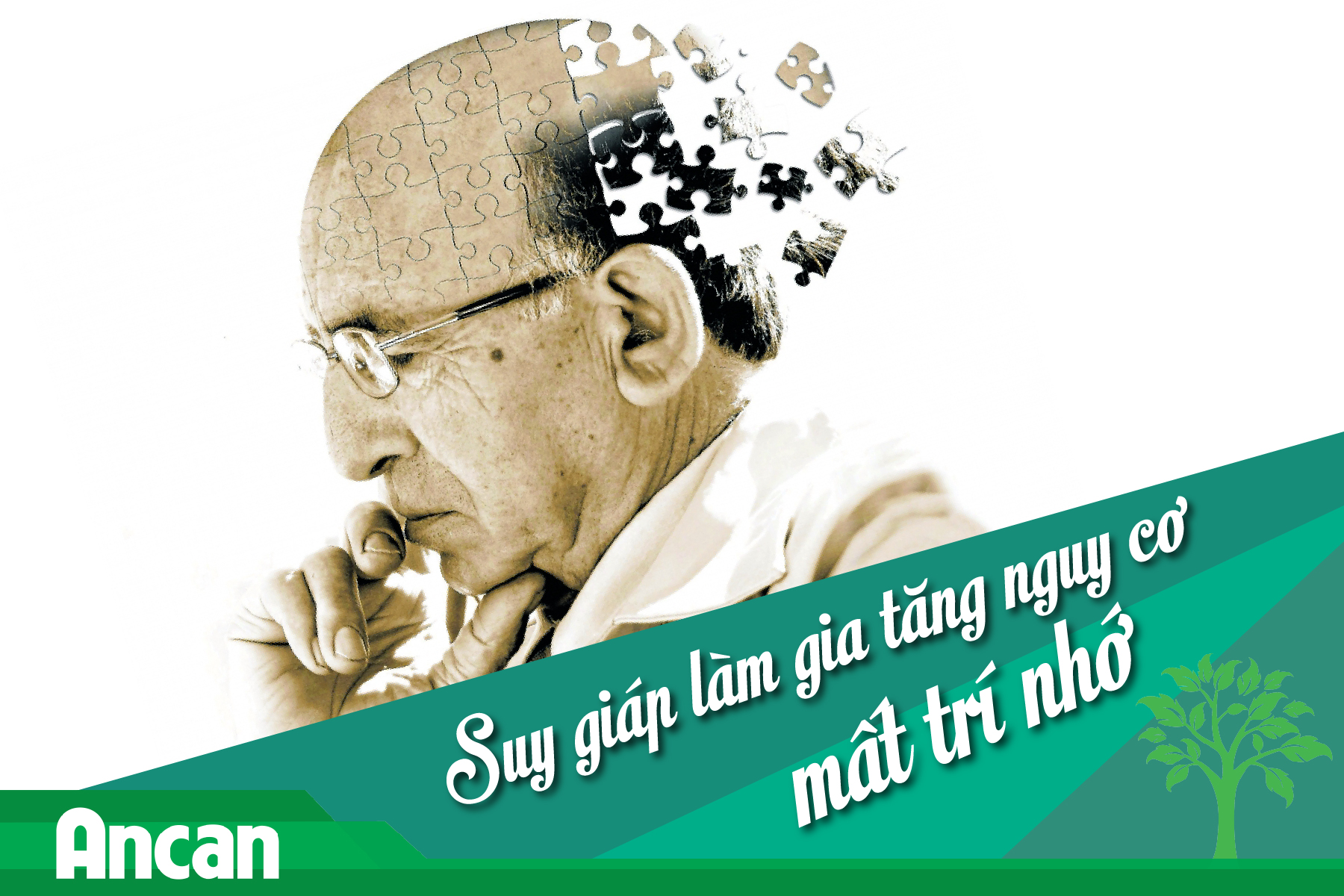 Cảnh báo: Suy giáp làm gia tăng nguy cơ mất trí nhớ