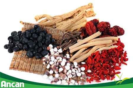 Chữa u nang tuyến giáp bằng những loại thuốc gì?