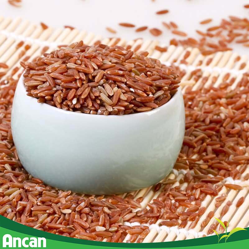 Những chất gây ung thư mà bạn không ngờ tới