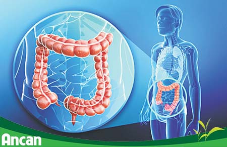 Những kiến thức về ung thư đại trực tràng bạn không nên bỏ qua