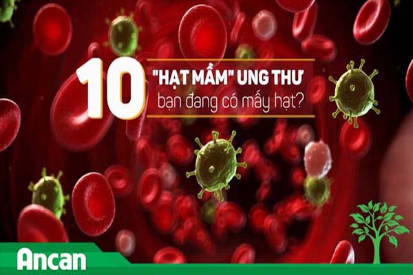 10 hạt mầm gây ung thư, bạn đang có mấy hạt?