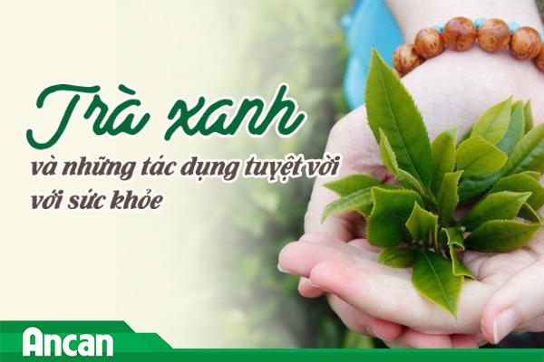 Trà xanh và những tác dụng tuyệt vời với sức khỏe