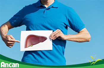 Ung thư gan sống được bao lâu?