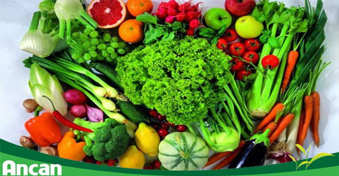 8 loại thực phẩm giúp bạn tránh xa ung thư vú